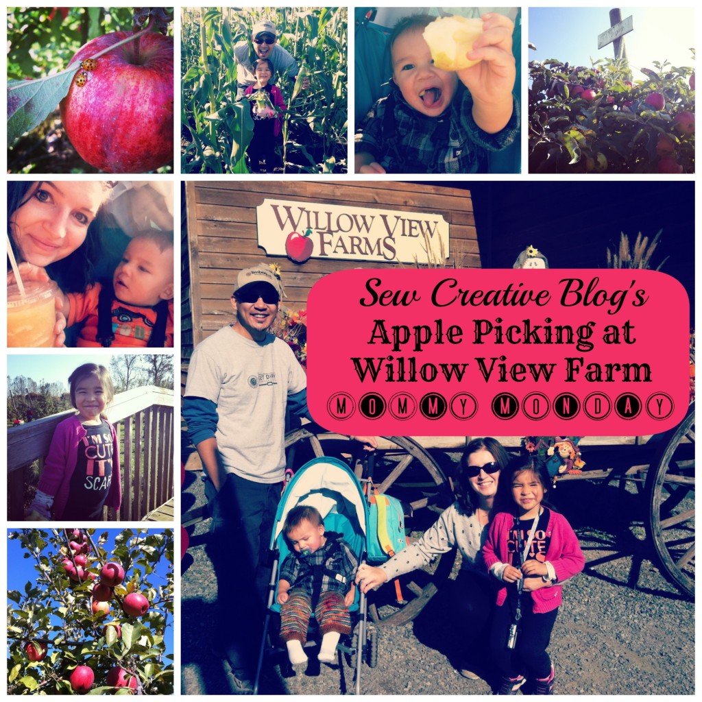 Apple Picking and Pumpkin Patch at Willow View Farm Abbotsford Vancouver