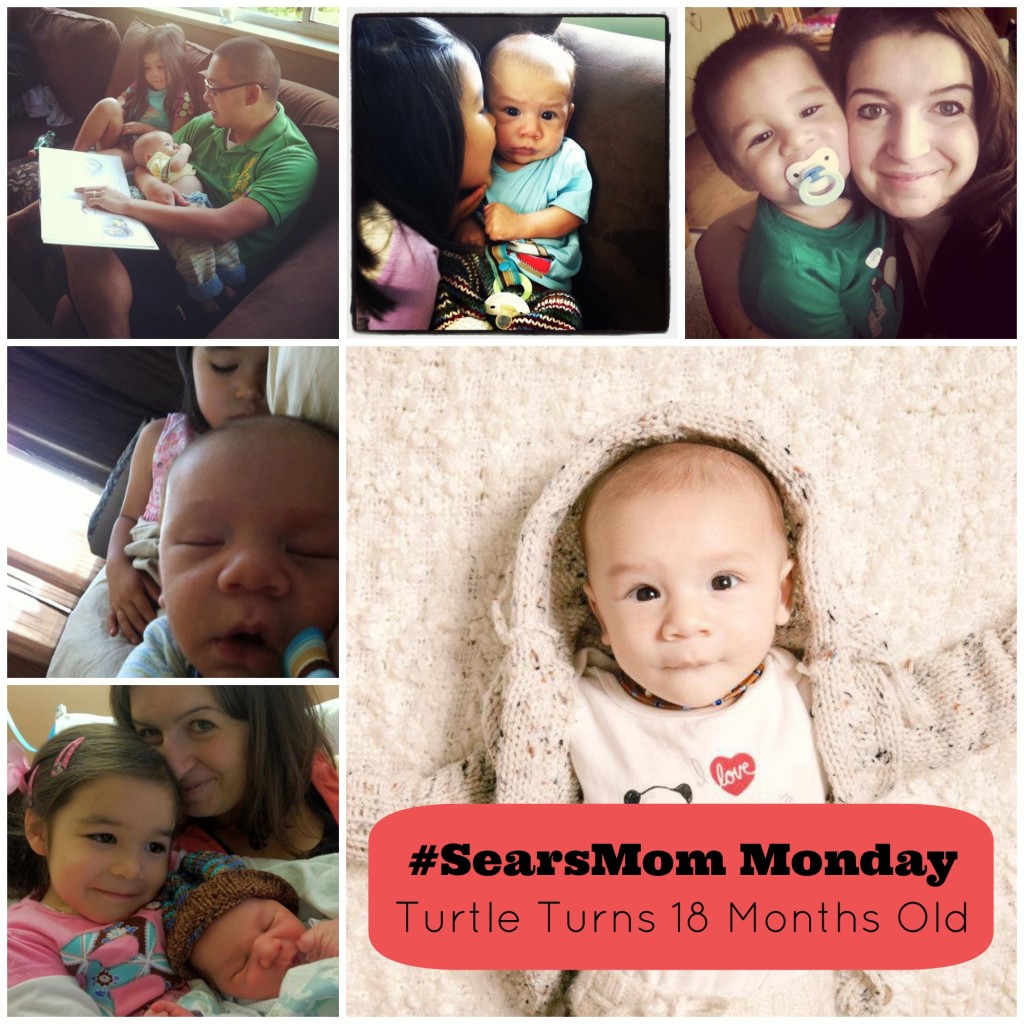 #SearsMom Monday- Turtle Turns 18 Months Old