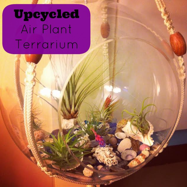 Upcycled Airplant Terrarium from Sew Creative .jpg