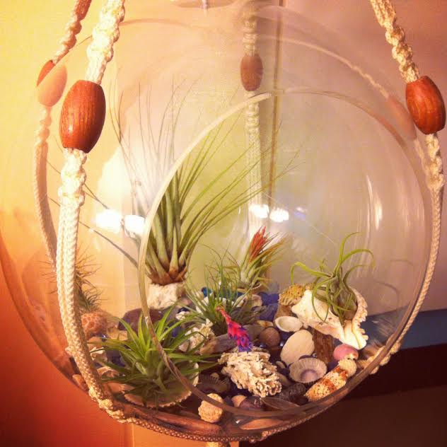Upcycled Airplant Terrarium from Sew Creative 1