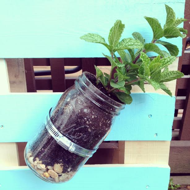 DIY Pallet Mason Jar Herb Garden Tutorial. This post has step by step instructions and tons of photos. A great family weekend project. 10