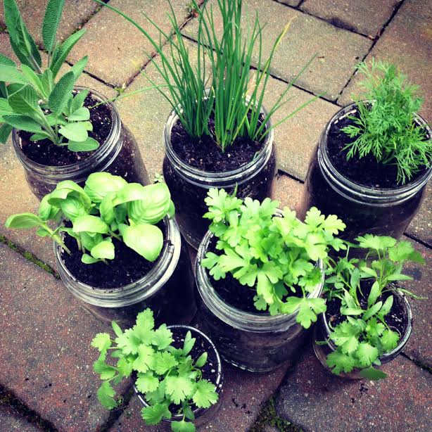 DIY Pallet Mason Jar Herb Garden Tutorial. This post has step by step instructions and tons of photos. A great family weekend project. 11