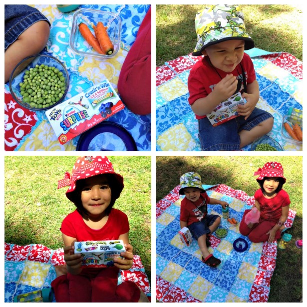 A picnic lunch is not complete without Kinder Surprises to end the meal!