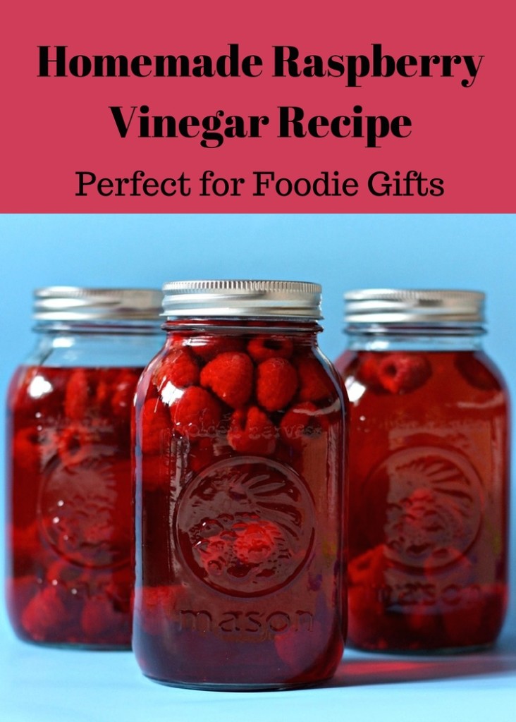 Homemade Raspberry Vinegar Recipe from Sew Creative. This recipe couldn't be easier and would make great Christmas gift idea for the foodies in my life