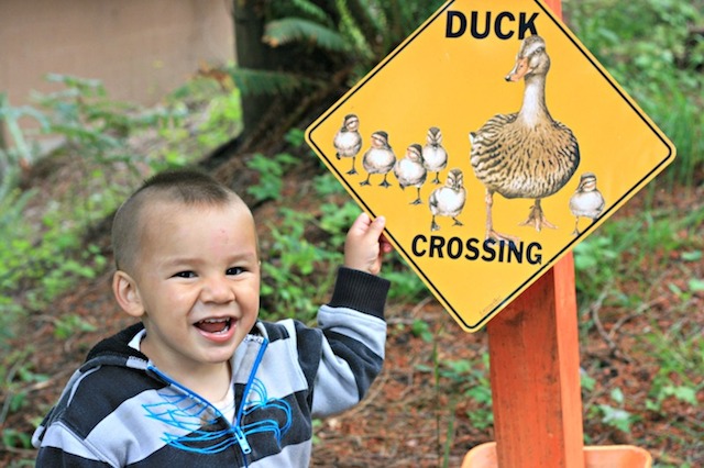 "Mama! It's a duck!"