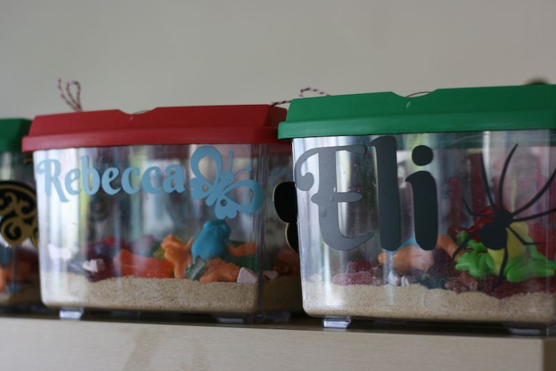 Personalized Bug Catchers perfect for a Bug Themed Birthday