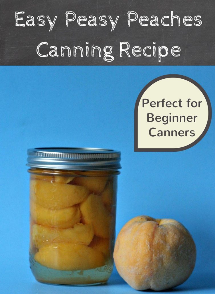 Easy Peasy Peaches Canning Recipe Perfect For Beginners