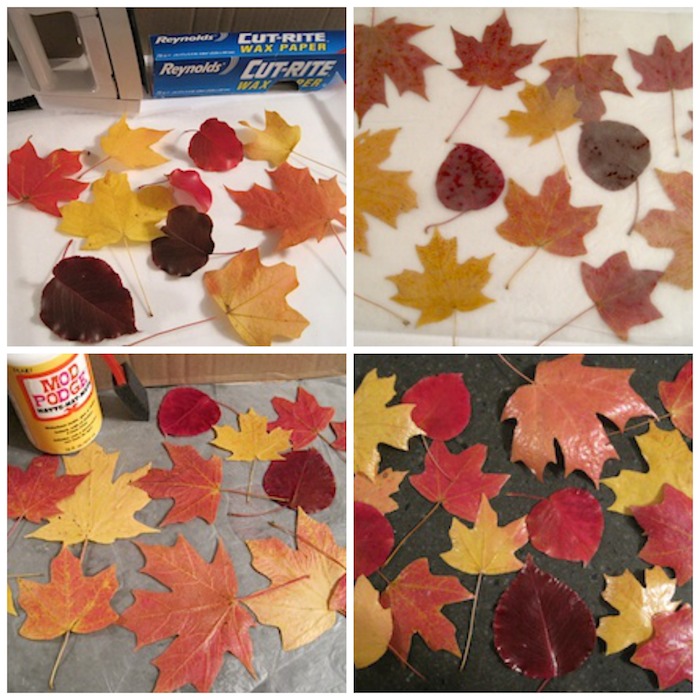 How to preserve fall leaves