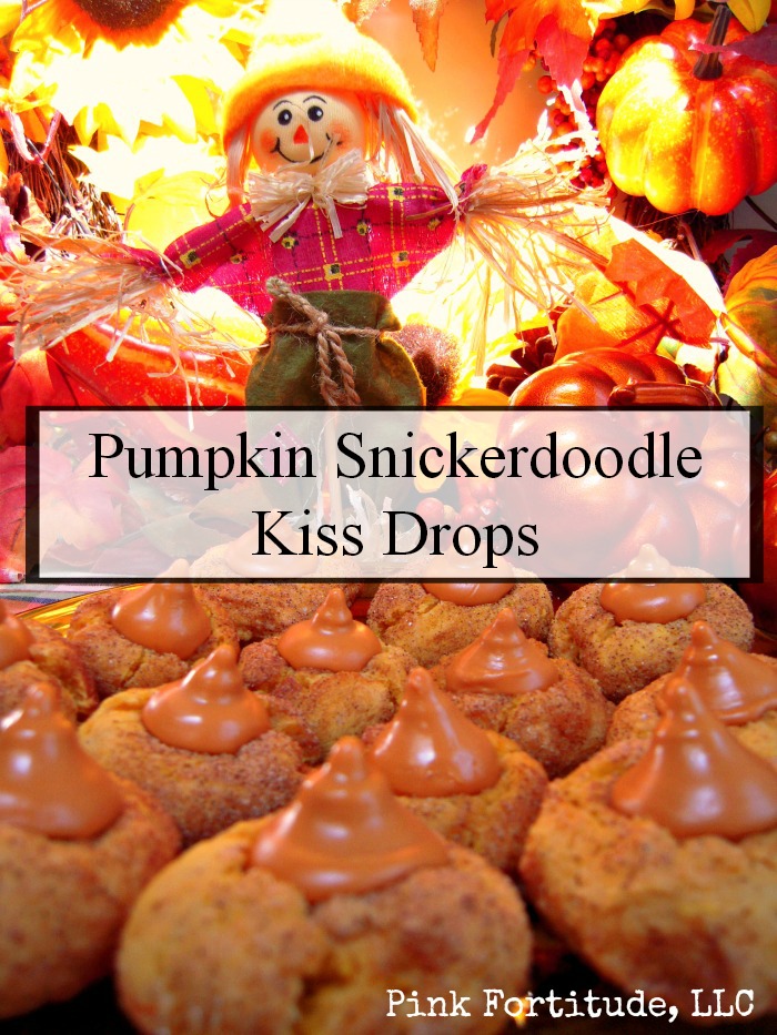 Pumpkin Snickerdoodle Kiss Drops