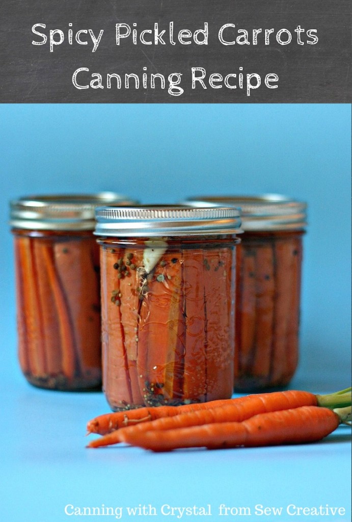Spicy Pickled Carrots Canning Recipe. Canning with Crystal from Sew Creative