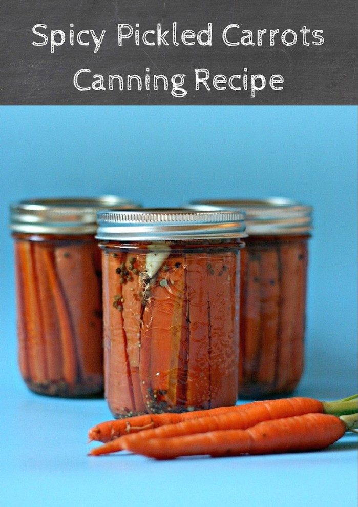 Spicy Pickled Carrots Canning Recipe. Canning with Crystal from Sew Creative