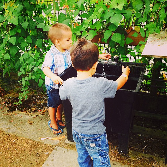 Washing their hands after the petting farm. It's been so much fun watching these boys grow up together.