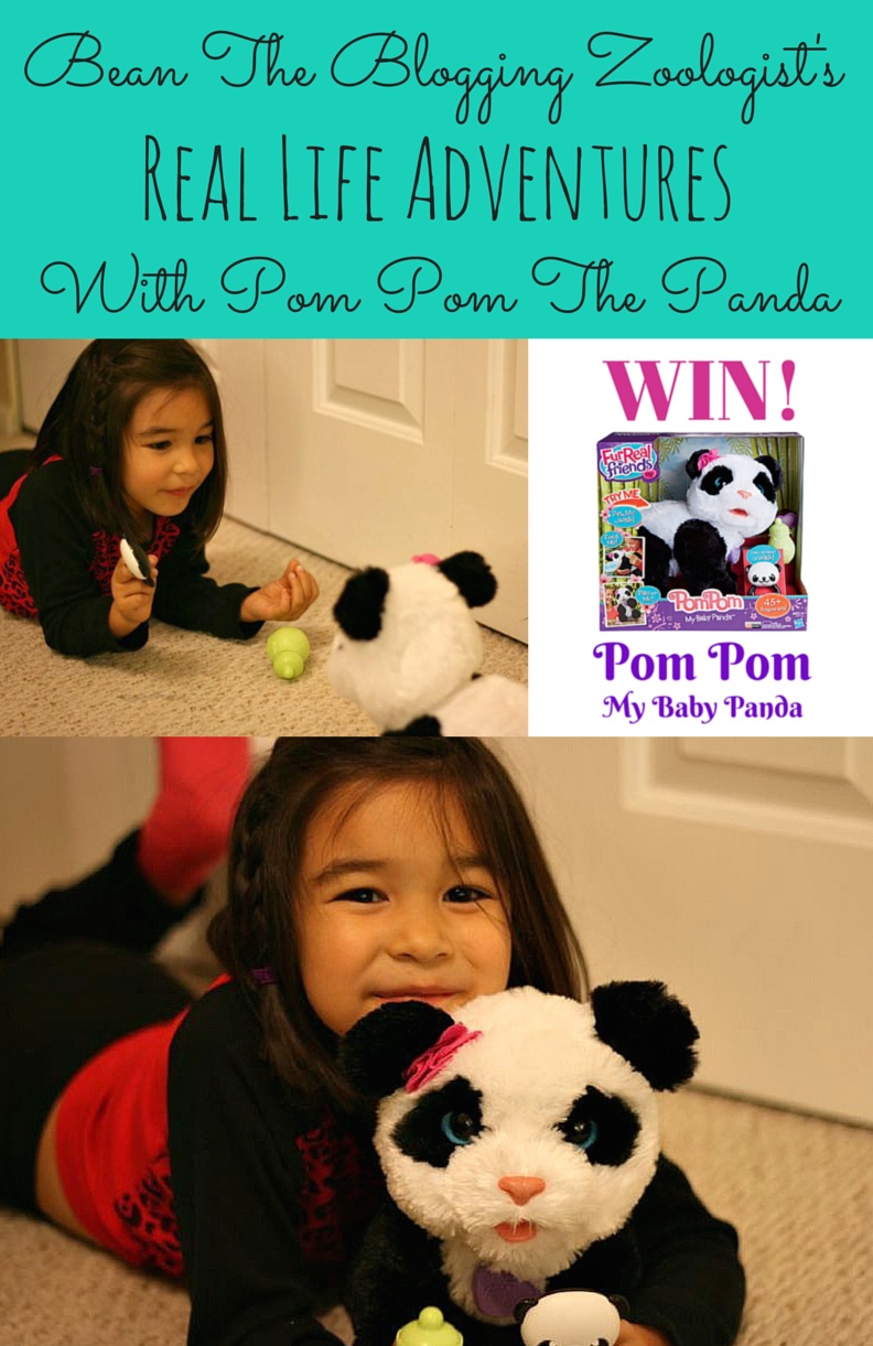 Bean The Blogging Zoologist's Real Life Adventures With FurReal Friends Pom Pom The Baby Panda