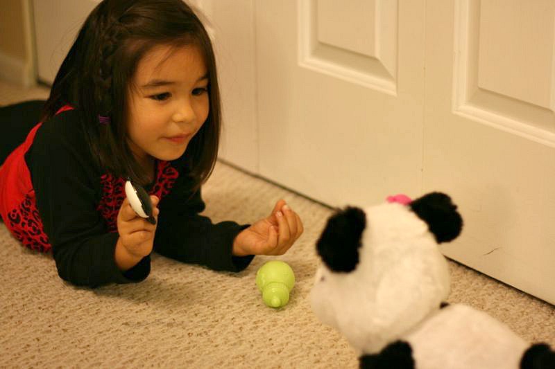 Bean The Blogging Zoologist's Real Life Adventures With Pom Pom The Baby Panda 1