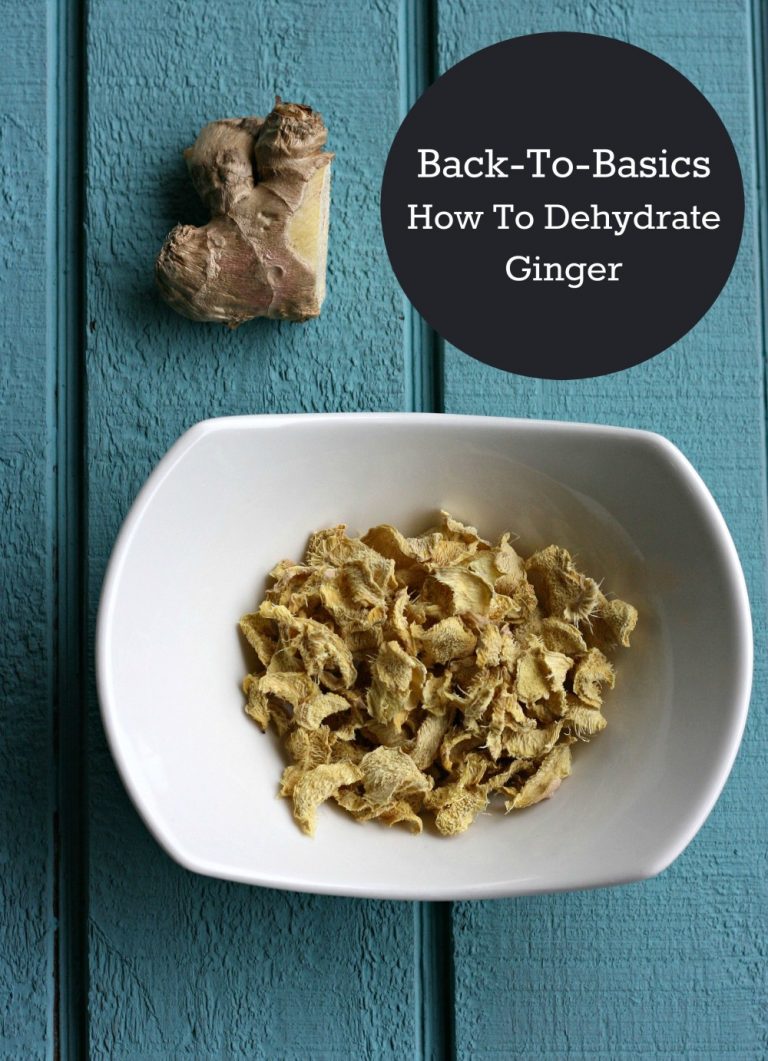 Back to Basics Sew Creative Shares How to Dehydrate Ginger for use in tea, soups, broth, baking and other cooking needs
