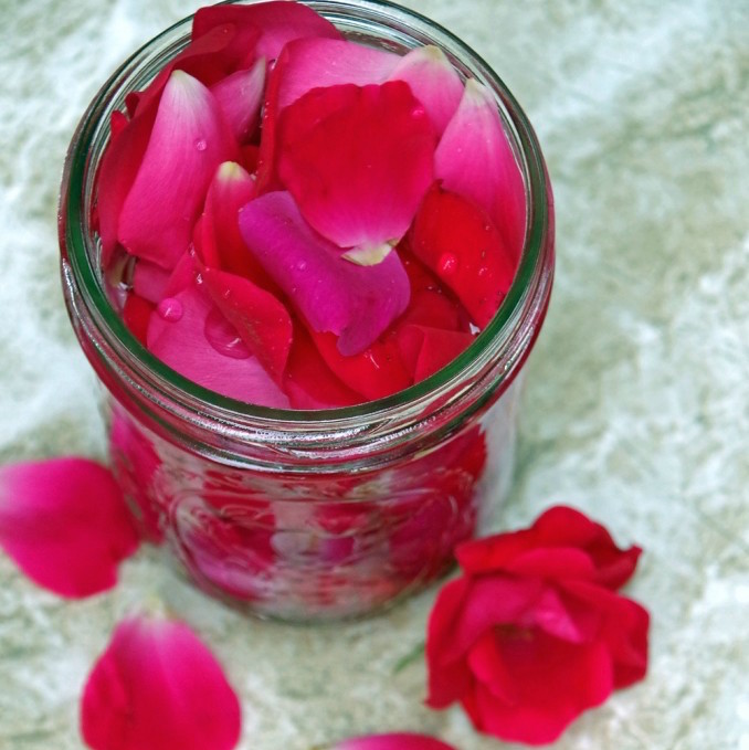 How to Make Homemade Rose Water for Natural Skincare Products- HCF DIY of the Week