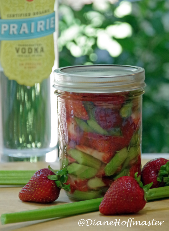 Strawberry Rhubarb Fizz