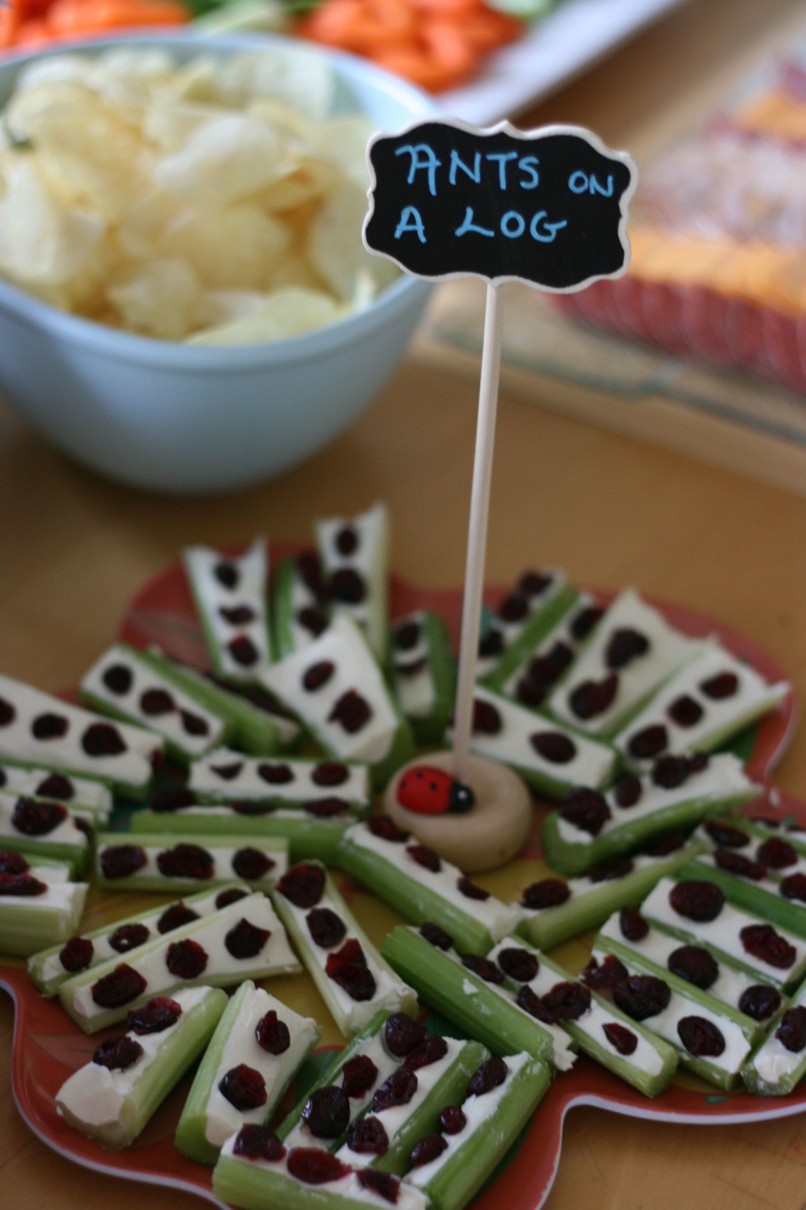 Celebrate your bug crazy kid's special day with these easy DIY Bug Birthday ideas
