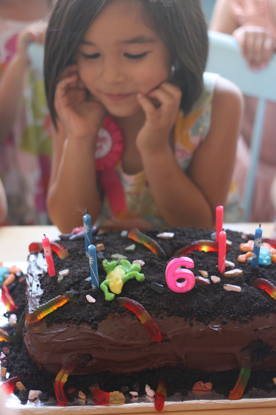 Celebrate your bug crazy kiddo's special day with these easy DIY Bug Birthday ideas