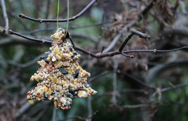 DIY Bird Seed Ornament