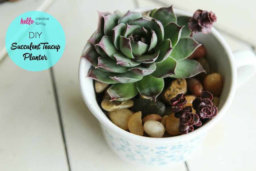 Have a black thumb? Turn your black thumb to green with succulents! Seriously! These things are so easy to grow. Low maintenance plants that look pretty? Bonus! Check out this adorable DIY Succulent Teacup Planter. They are the perfect little handmade gift idea for Mother's Day, teacher's gifts, neighbor gifts, Valentine's gifts, party/shower favors and thank you gifts! #Succulents #gardening #handmadegifts #thrifting