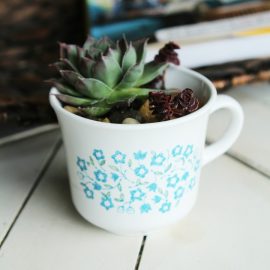 Have a black thumb? Turn your black thumb to green with succulents! Seriously! These things are so easy to grow. Low maintenance plants that look pretty? Bonus! Check out this adorable DIY Succulent Teacup Planter. Makes an easy handmade gift idea! This would be so cute for Valentine's Day!