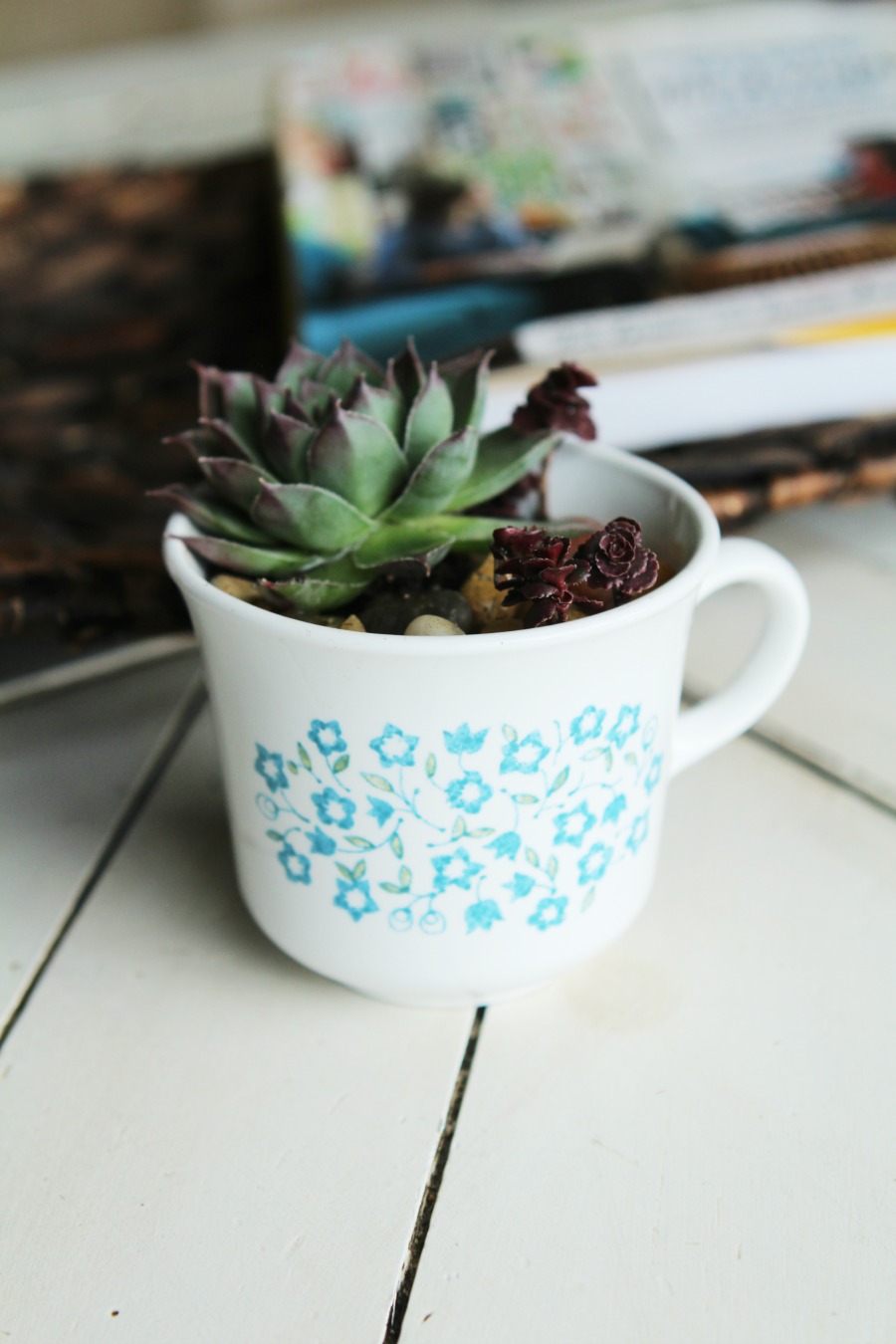 Have a black thumb? Turn your black thumb to green with succulents! Seriously! These things are so easy to grow. Low maintenance plants that look pretty? Bonus! Check out this adorable DIY Succulent Teacup Planter. They are the perfect little handmade gift idea for Mother's Day, teacher's gifts, neighbor gifts, Valentine's gifts, party/shower favors and thank you gifts! #Succulents #gardening #handmadegifts #thrifting