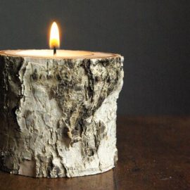 DIY Birch Wood Candle Holder from Oleander and Palm