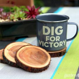 DIY Branch Coasters from Garden Therapy