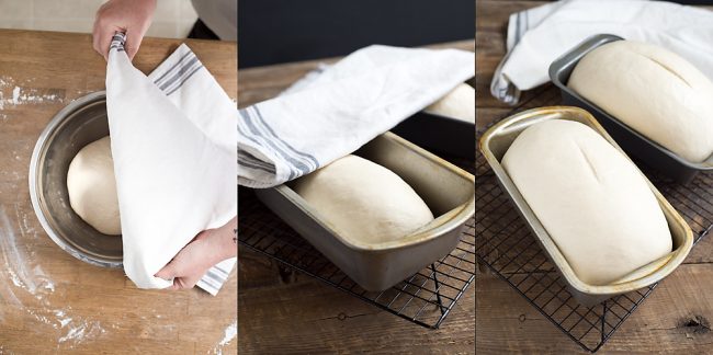 Making homemade bread is easy, once you get into the ritual and habit of doing it! Former bake shop owner, Renee from Hello Creative Family, shares how to make homemade bread perfect for sandwiches and rolls in this new back to basics article. An easy to follow recipe that will guarantee success with every loaf!