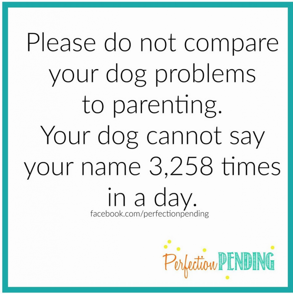 Please do not compare your dog problems to parenting. Your dog cannot say your name 3, 258 times in a day.