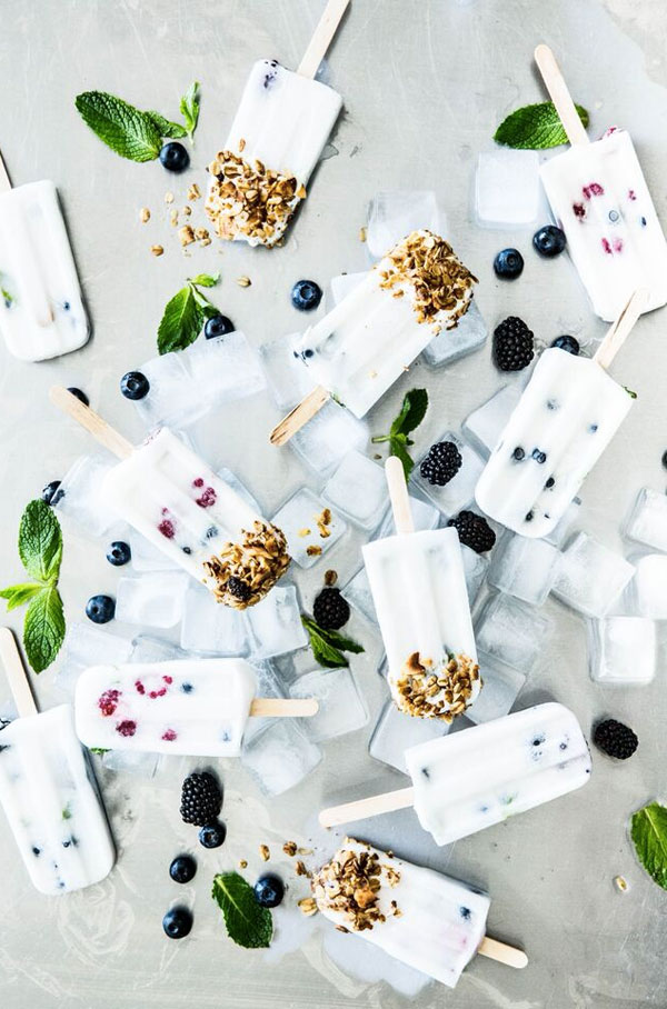 Berry Coconut Milk Popsicles Recipe from Apartment 34