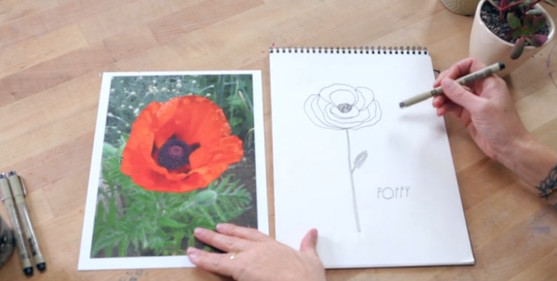 Learning to Draw with The Creative Bug Line Drawing Class With Lisa Congdon