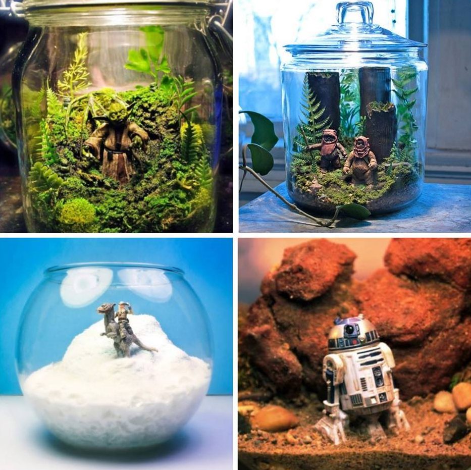 Star Wars Terrariums from GeekTak