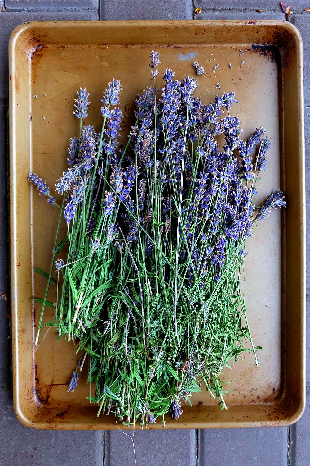 Who knew it was so easy? Learn to make DIY Lavender Essential Oil Tincture at home! The first post in Hello Creative Family's Think Ahead Handmade Gift Ideas Series! This lovely lavender extract can be used in a variety of lavender recipes and DIY projects! Simple to make and makes a lovely gift!