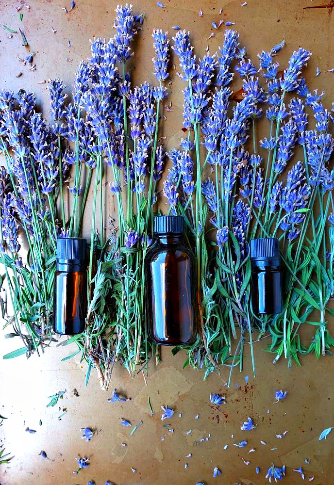 Who knew it was so easy? Learn to make DIY Lavender Essential Oil Tincture at home! The first post in Hello Creative Family's Think Ahead Handmade Gift Ideas Series! This lovely lavender extract can be used in a variety of lavender recipes and DIY projects! Simple to make and makes a lovely gift!!