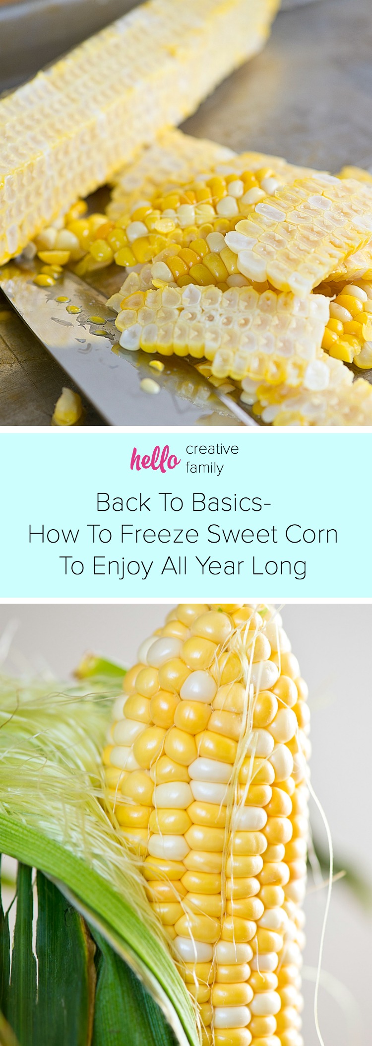There is nothing in the world like the flavor of fresh sweet corn! It doesn't have to be just a summertime treat! Learn how to freeze sweet corn, fresh from the farmer's stand, in Hello Creative Family's latest Back To Basics tutorial! 