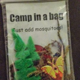 Camp In A Bag SWAPS Idea from Tracy's Guiding Blog
