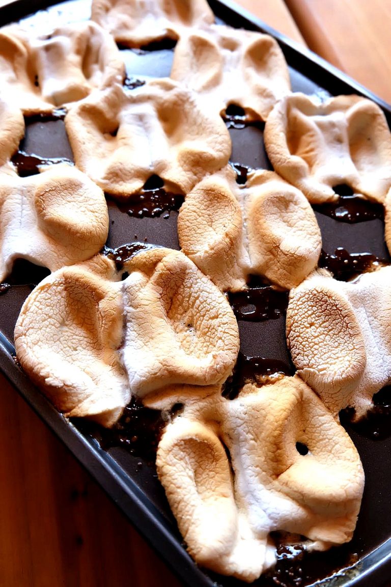 BBQ S’mores Bites Recipe- BBQing + S’mores, All Summer Long