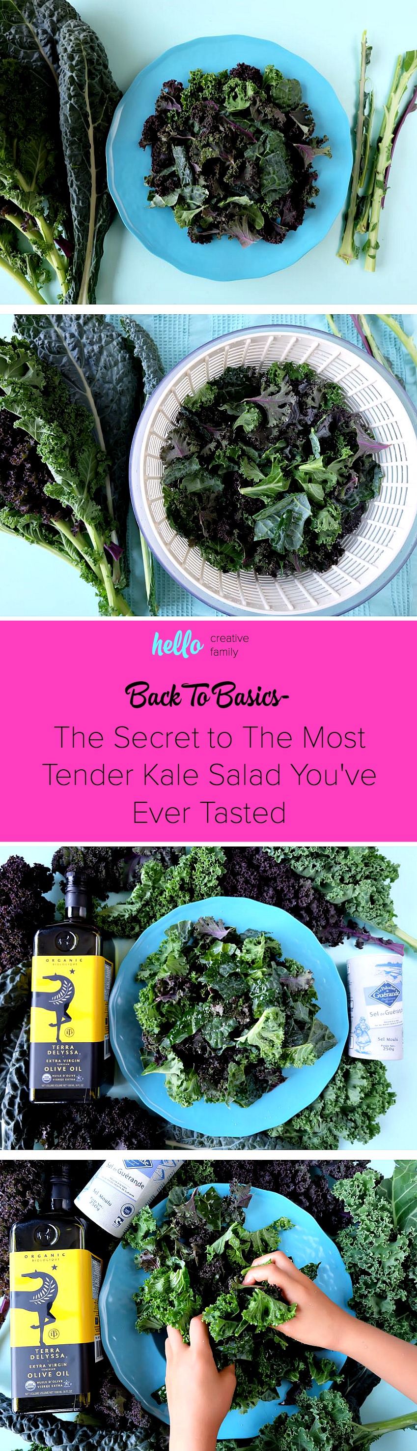 Want to know the secret to the most tender kale salad you've ever eaten? Whether you are buying a bagged kale salad from Costco, purple kale, green kale, flat leaf kale or curly leaved kale you need to know this secret! I'll never make my kale salad recipe the same way again! And it's so easy! 