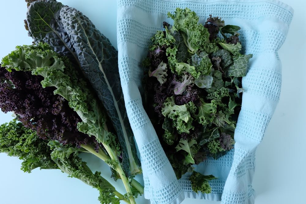 Want to know the secret to the most tender kale salad you've ever eaten? Whether you are buying a bagged kale salad from Costco, purple kale, green kale, flat leaf kale or curly leaved kale you need to know this secret! I'll never make my kale salad recipe the same way again! And it's so easy! 