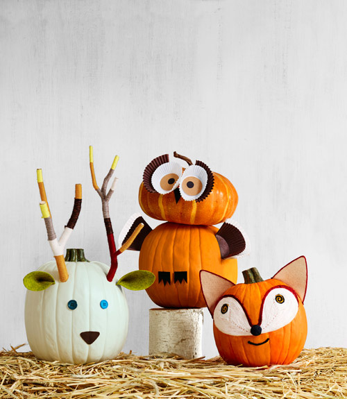 27+ Awesome Pumpkin Crafts, DIYs and Decorating Ideas-Woodland Animal Pumpkins from Country Living