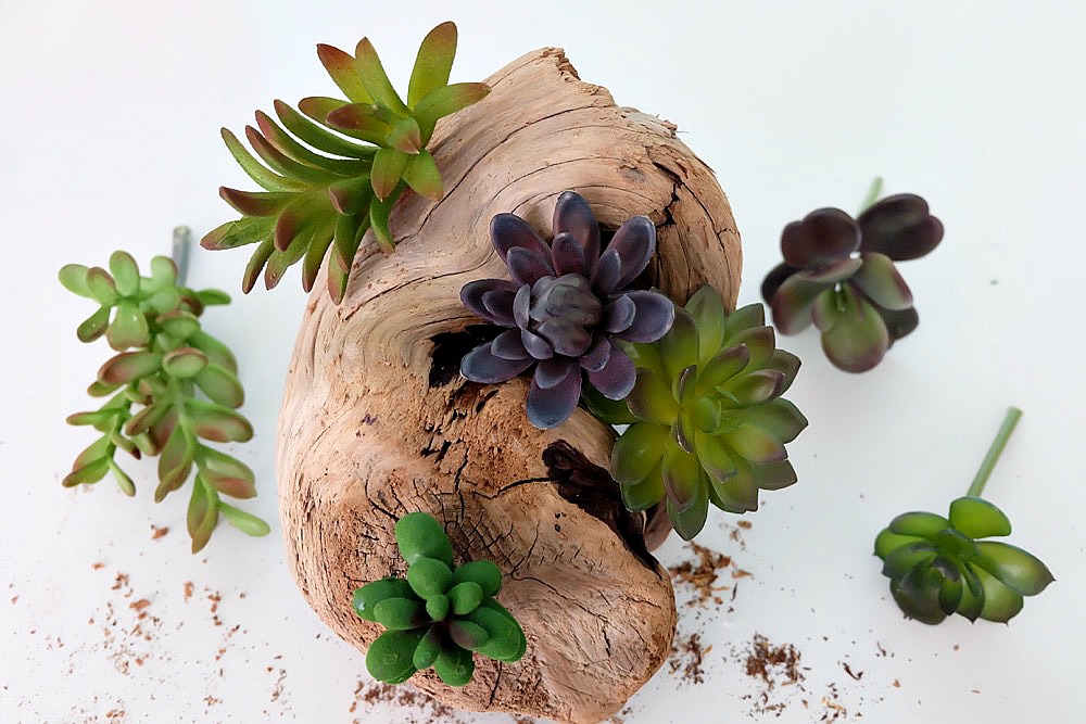 Create a beautiful DIY Faux Succulent Driftwood Planter with this easy step by step tutorial. Perfect for decorating a beach cottage, for centerpieces for an ocean themed wedding or party, or for a bit of pretty greenery in your home using driftwood you collected while beach combing. #DIY #Beach #Succulents 