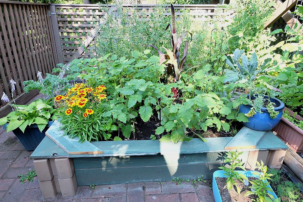 Get gardening with your family! Expand your patio garden or backyard garden with this easy DIY planter box idea from Hello Creative Family. No power tools required, this planter box can be made in an hour or less in a small space, large space or any size in between. Includes step by step instructions. Fill it with plants from the Garden Therapy Kids' Gardening Kit! #Gardening #PatioGardening #SmallSpaceGardening #DIY