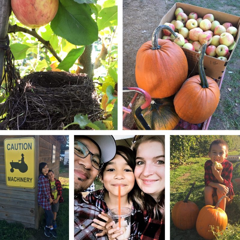 Vancvouer Blogger Hello Creative Family at Willowview Apple Farm in Abbotsford BC