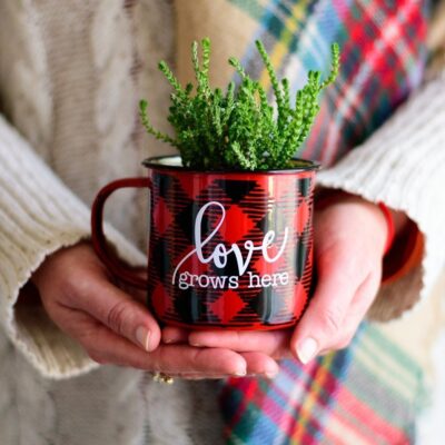Love Grows Here SVG From Kingston Crafts