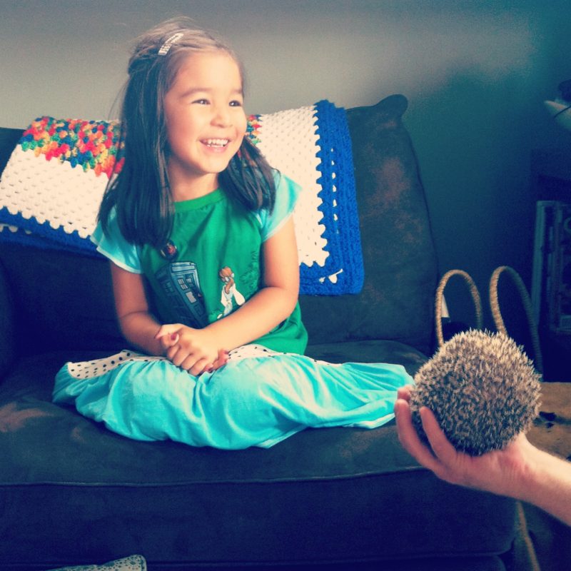 Girl sitting on a couch looking at a hedgehog