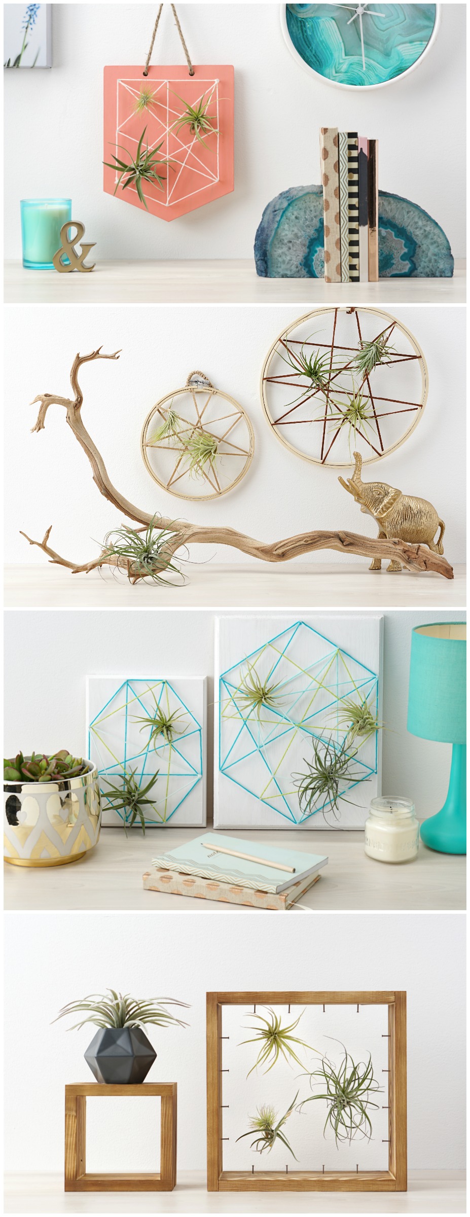 Looking for an easy but beautiful handmade gift that's perfect for just about any occasion? Housewarming gifts, graduation gifts, teacher gifts, wedding shower gifts, Mother's Day gifts, etc? We're combining two of our favorite things-- air plants and string art to create one amazing project! Check out our DIY Air Plant String Art Tutorial to learn how to make this awesome home decor piece that's easy and low maintenance to care for! #AirPlants #StringArt #DIY #Crafts