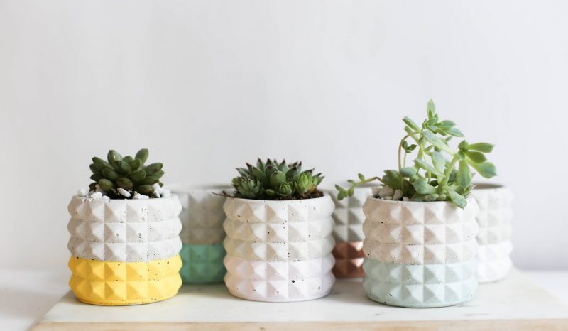 Shop Handmade Mother's Day Gift Ideas For Mom: Mod Concrete Planters from Anne Taylor Co