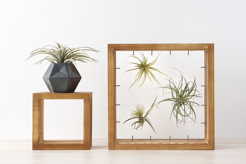 white planter pots indoor Flora 12